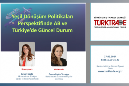 YEŞİL DÖNÜŞÜM POLİTİKALARI PERSPEKTİFİNDE AB ve TÜRKİYE'DE GÜNCEL DURUM 